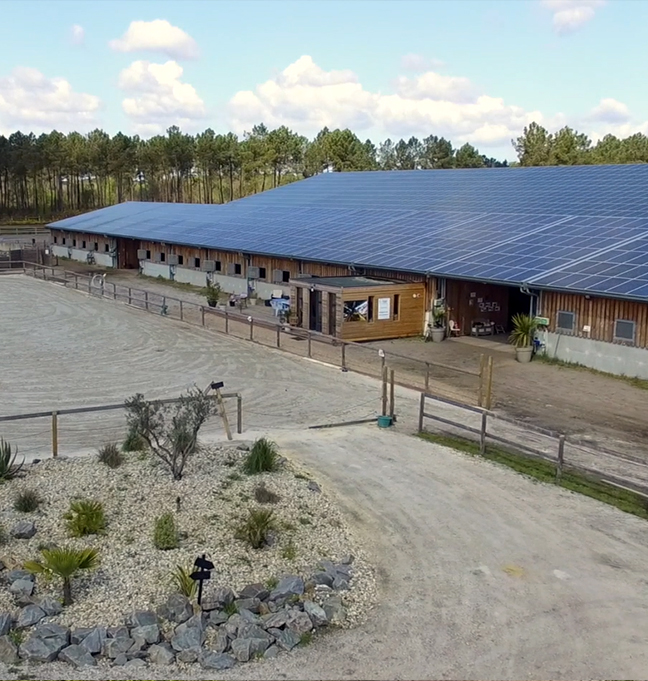 Poney Club De Saint Aubin Poney Club Saint Aubin De Medoc Sec1 Img