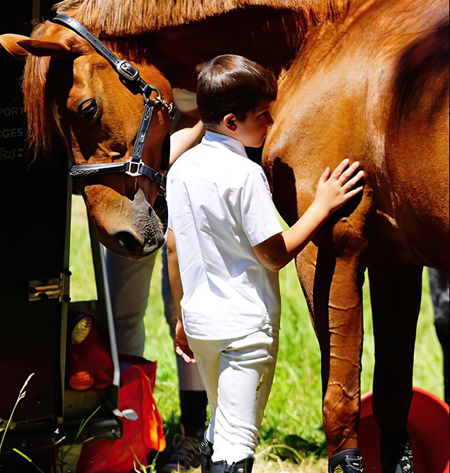 Poney Club De Saint Aubin Poney Club Saint Aubin De Medoc Sec1 Img