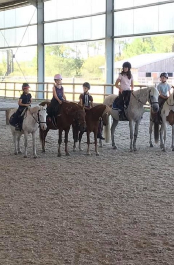 Poney Club De Saint Aubin Poney Club Saint Aubin De Medoc Sec1 Img
