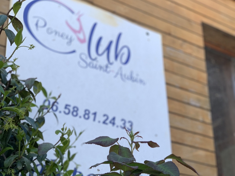 Poney Club De Saint Aubin Poney Club Saint Aubin De Medoc Realisations 19