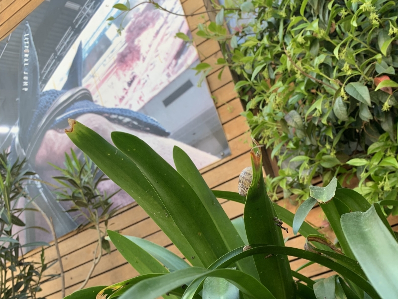 Poney Club De Saint Aubin Poney Club Saint Aubin De Medoc Realisations 20