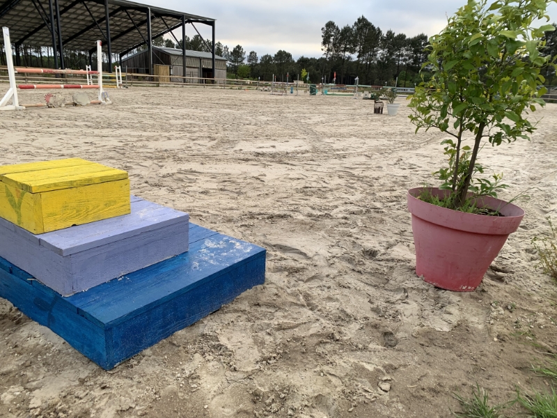 Poney Club De Saint Aubin Poney Club Saint Aubin De Medoc Realisations 22
