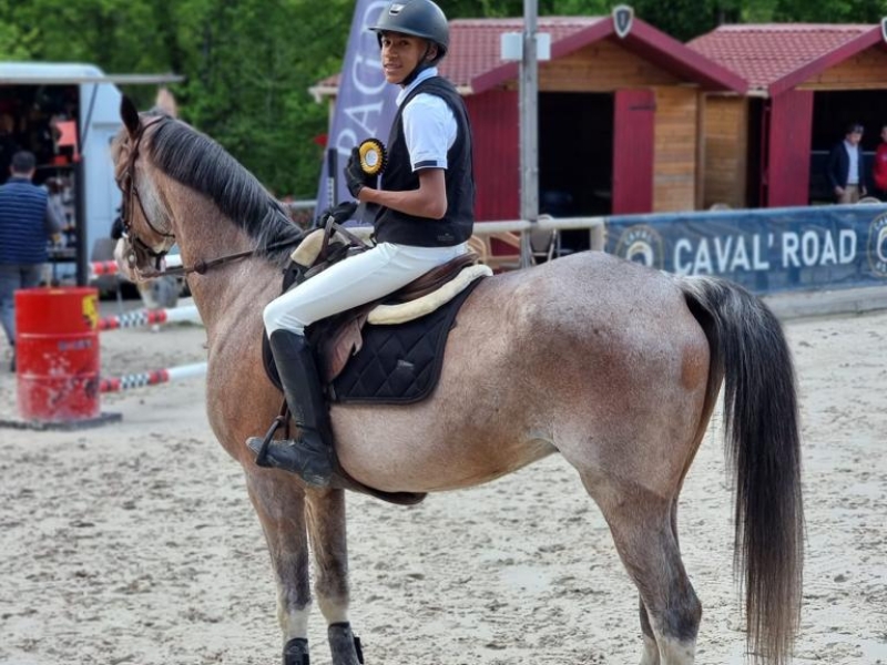 Poney Club De Saint Aubin Poney Club Saint Aubin De Medoc Realisations 28
