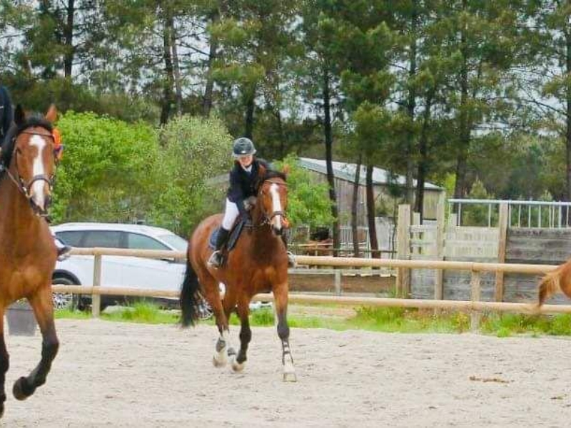 Poney Club De Saint Aubin Poney Club Saint Aubin De Medoc Realisations 29