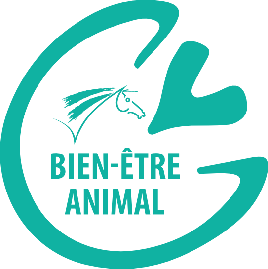 Poney Club De Saint Aubin Poney Club Saint Aubin De Medoc Logo Bien Etre Animal