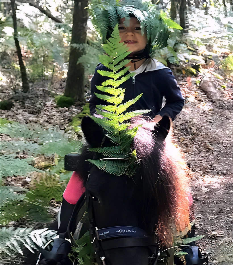 Poney Club De Saint Aubin Club Equestre A Saint Aubin De Medoc Bapteme A Poney 1