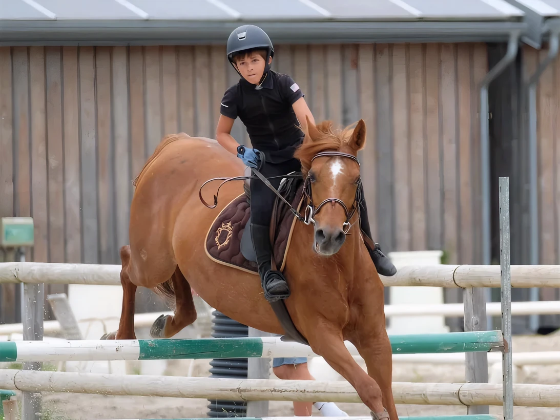 Poney Club De Saint Aubin Club Equestre A Saint Aubin De Medoc Cours Dequitation