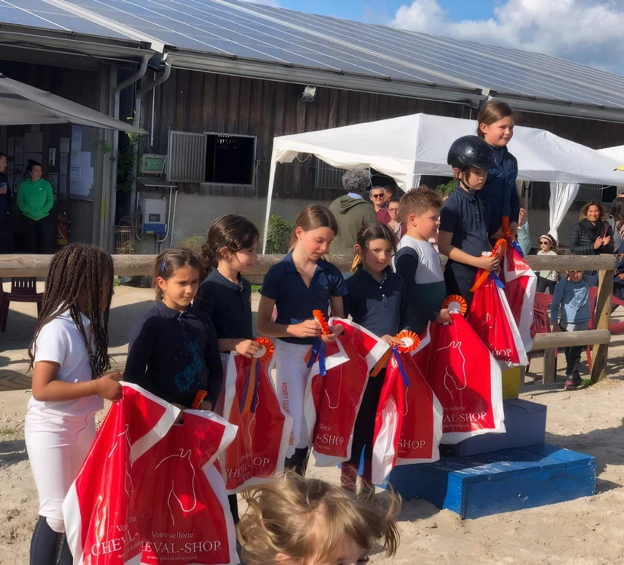Poney Club De Saint Aubin Club Equestre A Saint Aubin De Medoc Passage De Galops