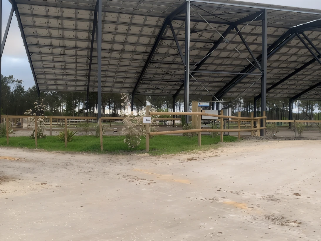 Poney Club De Saint Aubin Club Equestre A Saint Aubin De Medoc Pension De Chevaux 2