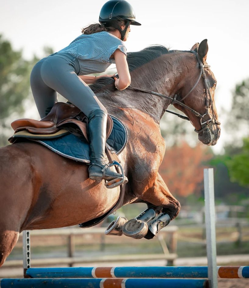 Poney Club De Saint Aubin Club Equestre A Saint Aubin De Medoc Poney Club De Saint Aubin Club Equestre A Saint Aubin De Medoc Loisir Plaisir 2 2 Poney Club De Saint Aubin Club Equestre A Saint Aubin De Medoc Poney Club De Saint Aubin Club Equestre A Saint Aubin De Medoc Loisir Plaisir 2 2