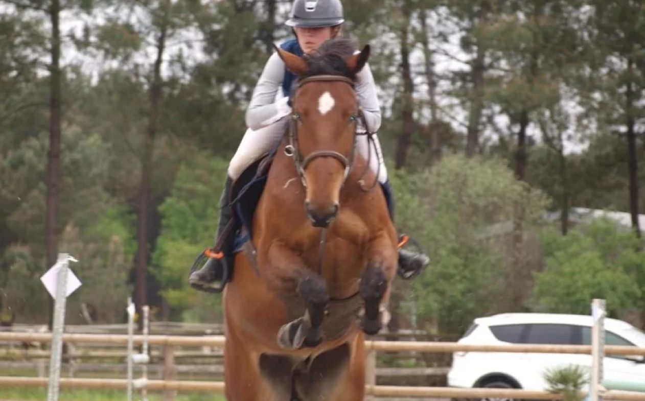 Poney Club De Saint Aubin Club Equestre A Saint Aubin De Medoc Poney Club De Saint Aubin Club Equestre A Saint Aubin De Medoc Stages De Perfectionnement Pour Tous Les Niveaux 1 1